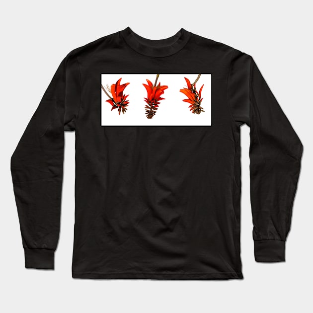 Scarlet Coral Tree Flowers Long Sleeve T-Shirt by scotch
